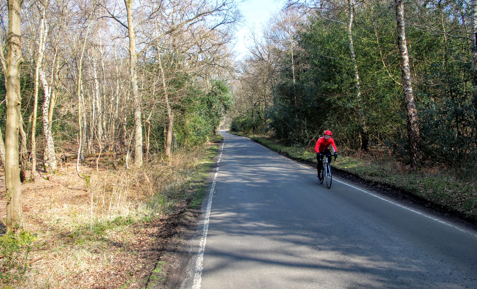 forest bike