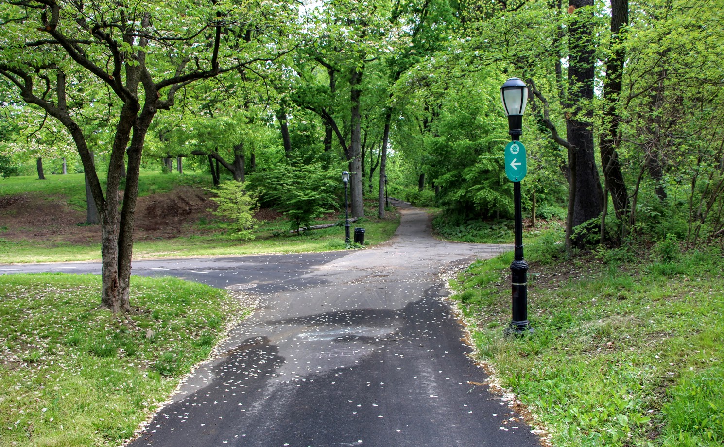 forest park bike trails