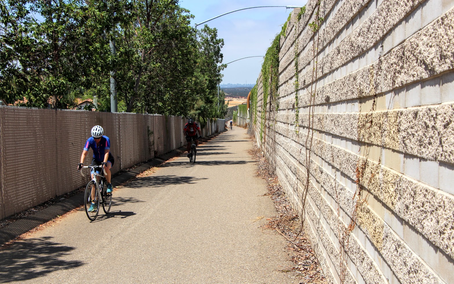 freeway cross bike